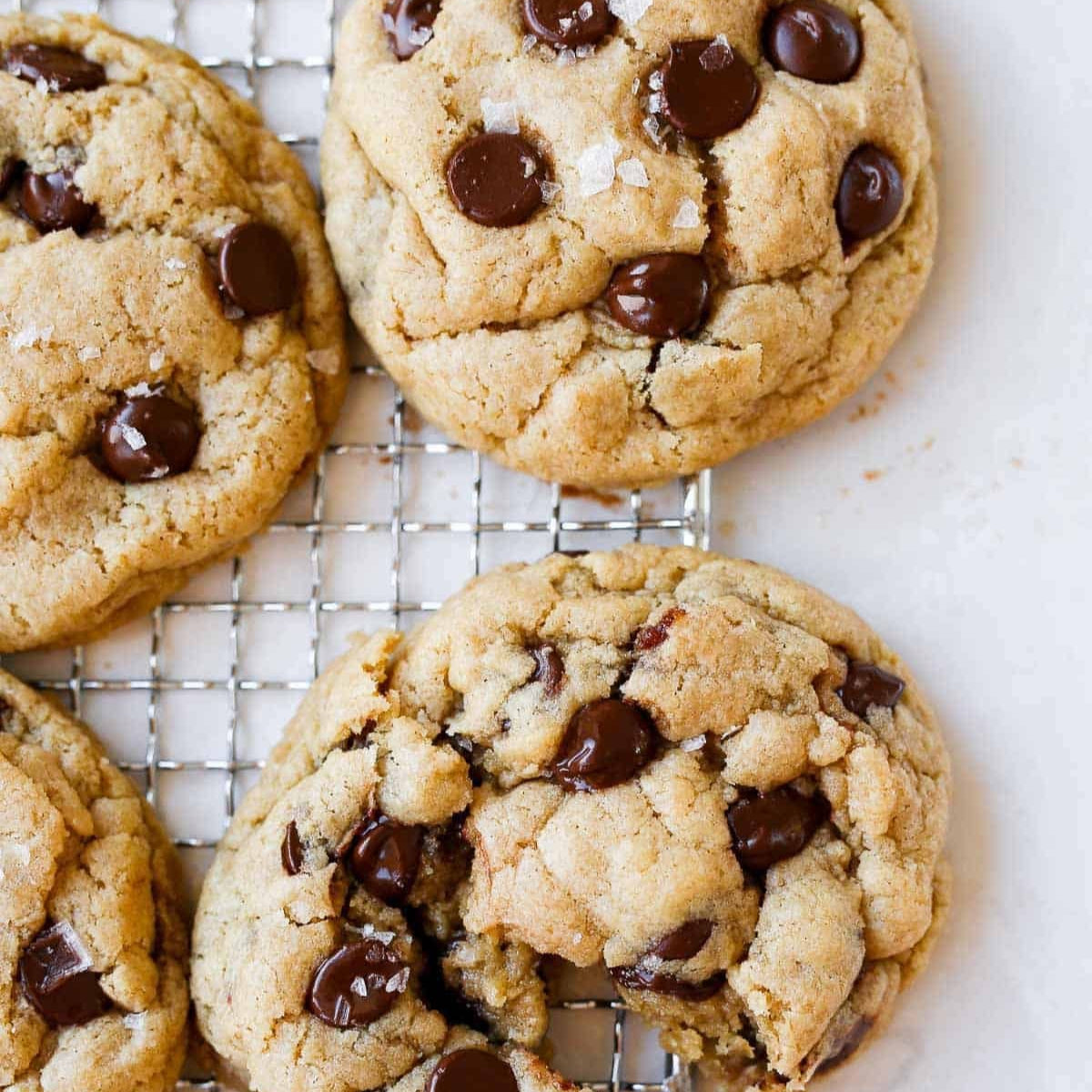 Gluten-Free Chocolate Chip Cookie