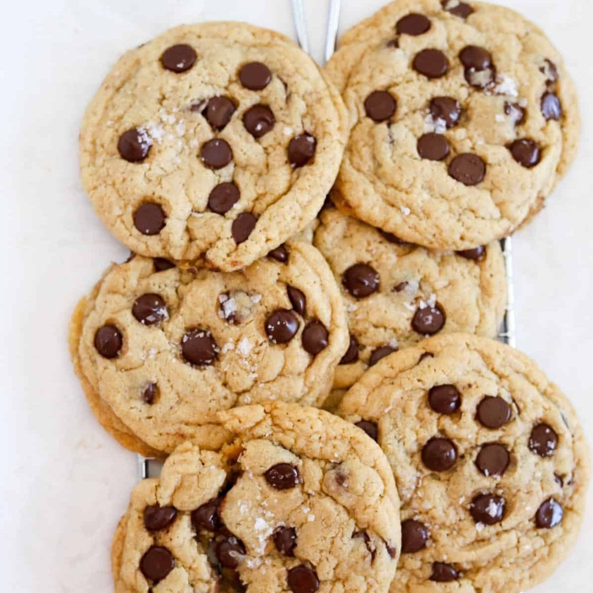 Gluten-Free Chocolate Chip Cookie