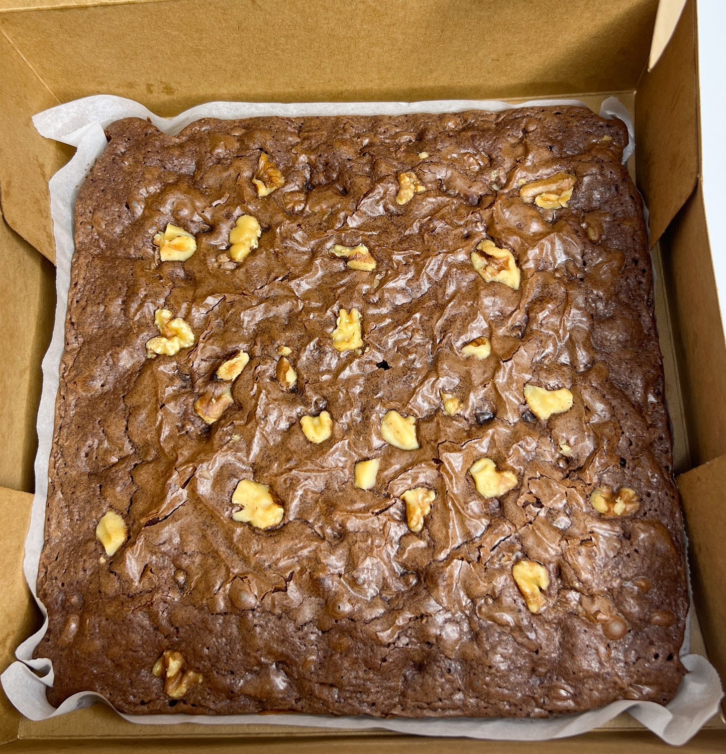 Walnut Brownies